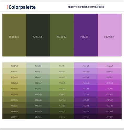 Color Palette Best Practices