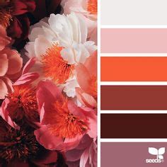 Color palette ideas