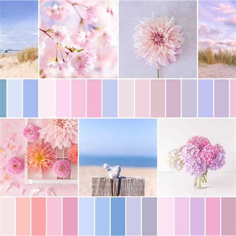 Color Palette Inspiration