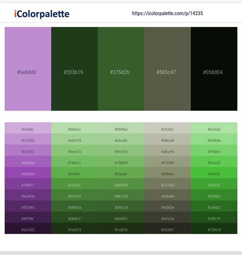 Color palettes inspiration