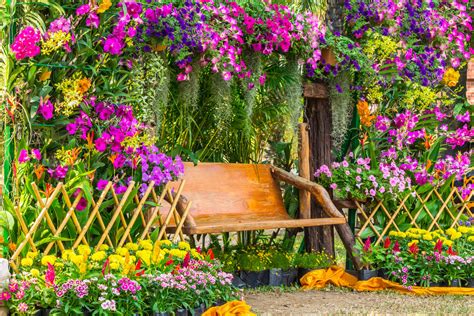 Colorful garden with vibrant flowers