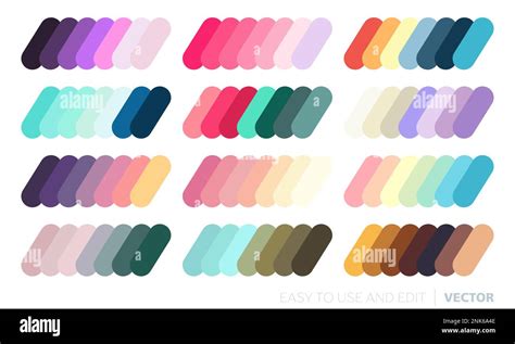 Color Match Palette 1