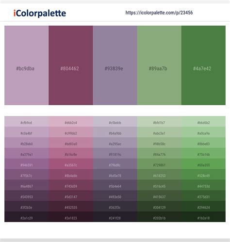 Colour Palette Evolution