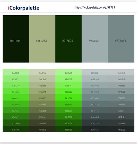 A variety of colour palettes for design inspiration