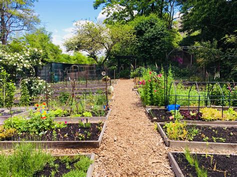 Community garden volunteers