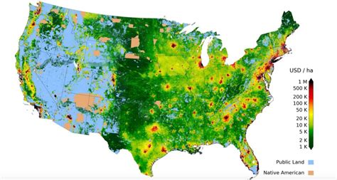 Conservation Efforts in Boston