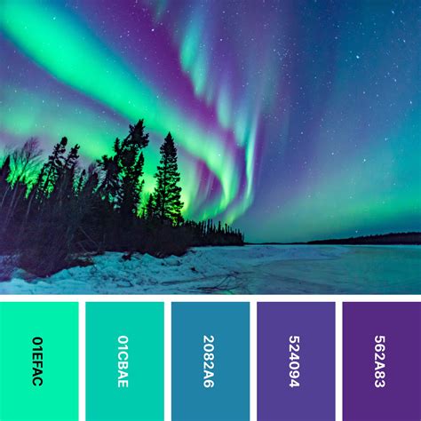 Cool and Calming Color Palettes for Procreate