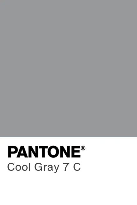 Cool Gray Color Palette