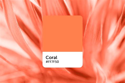 Coral Color Branding Ideas