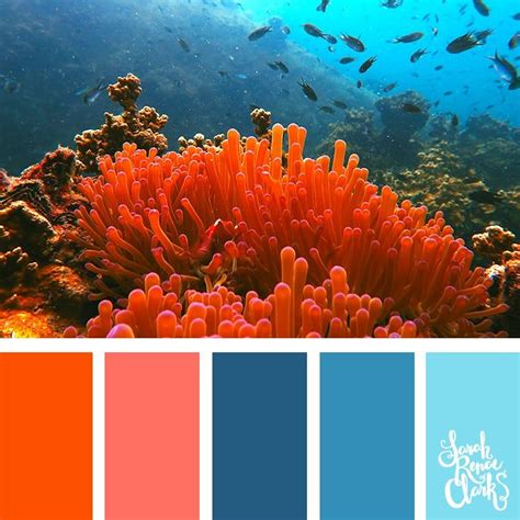 Coral color combinations