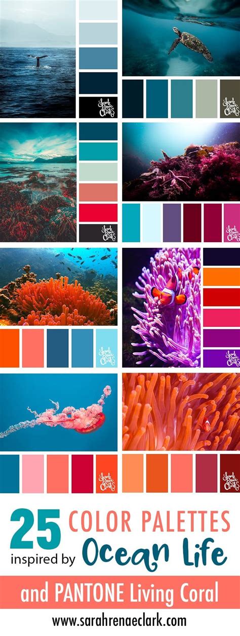 Coral Color Palette