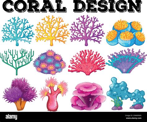 Coral Design