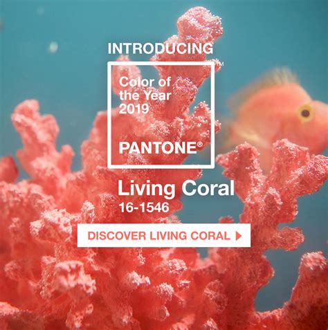 Coral Inspiration