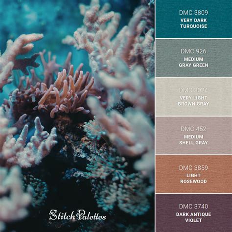 Coral Reef Color Palette