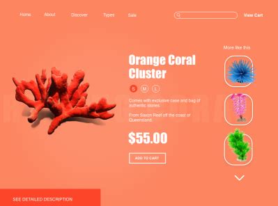 Coral web design