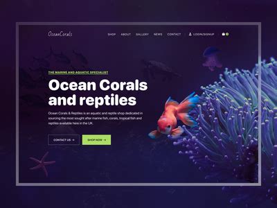 Coral website design example