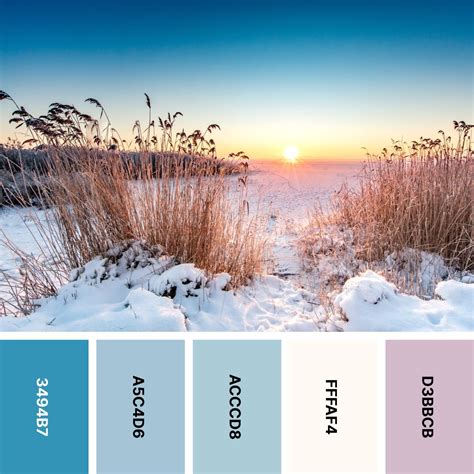 Cozy Winter Color Palette