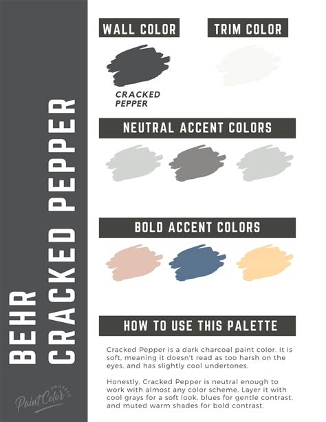 Cracked Pepper Color Palette