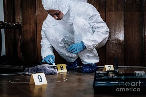 A photo of a detective examining a crime scene