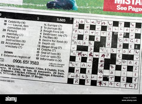 Description of Crossword Puzzle Newspapers