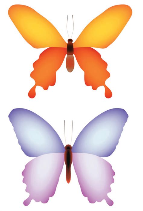 Cute and colorful butterfly template