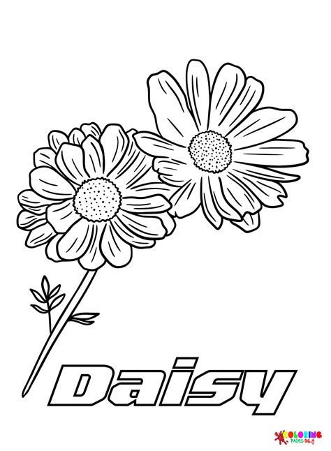 Daisy coloring pages for adults and kids