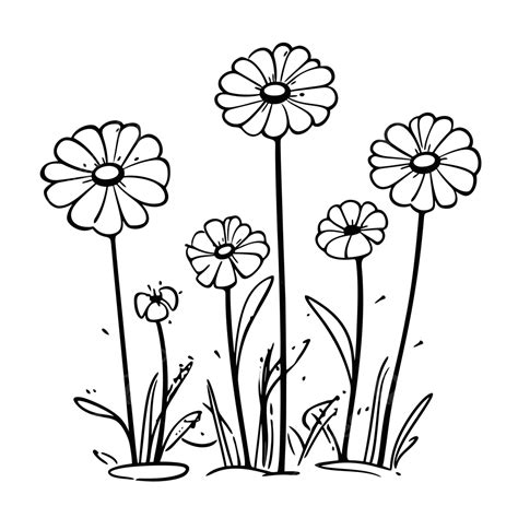 Daisy Field Coloring Pages