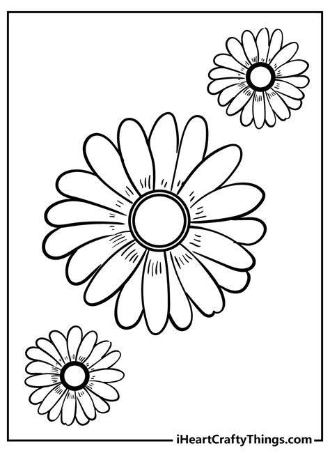 Daisy flower coloring pages printable for adults