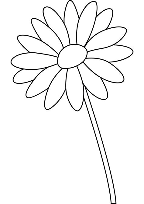 Daisy Printable Flower