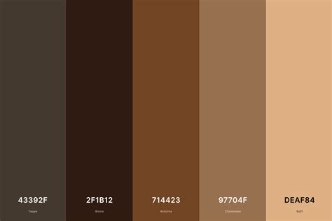 Dark Brown Colour Palette Example 6