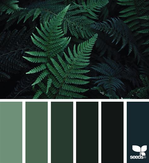 Dark Forest Green Color Palette