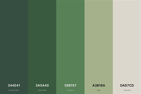 Dark Forest Green Color Palette