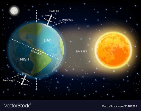 Day-Night Cycle