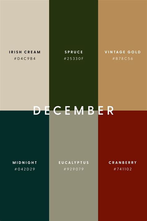 December Color Palette Ideas for Graphic Design