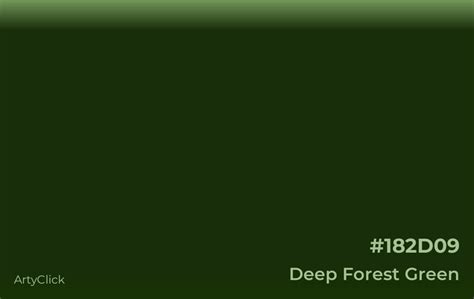 Deep forest greens color palette