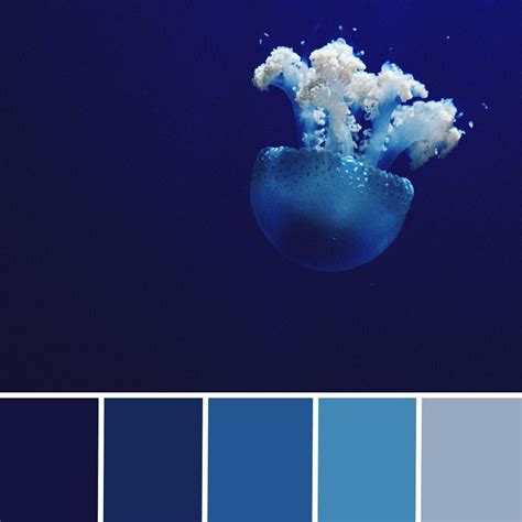 Deep Sea Color Palette in Graphic Design