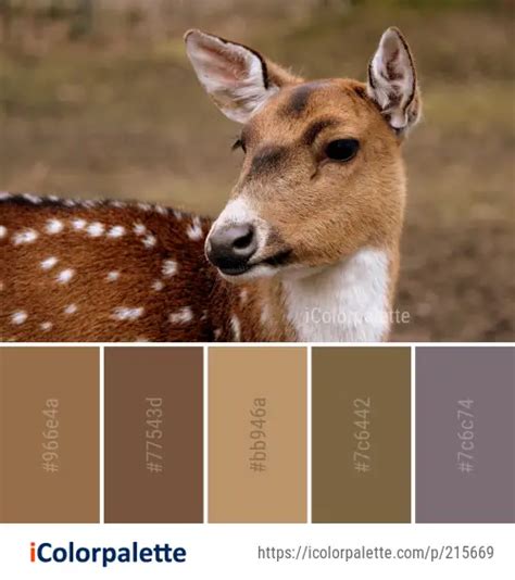 Deer Color Palette