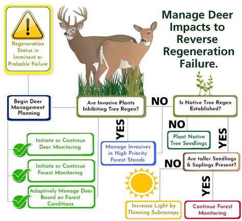 Deer Conservation Implications