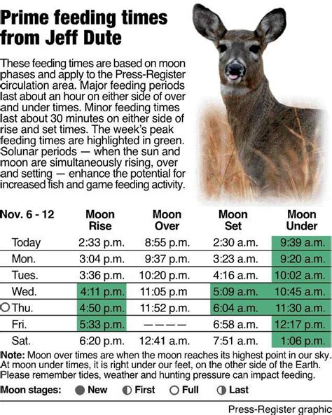 Deer Movement Calendar Guide