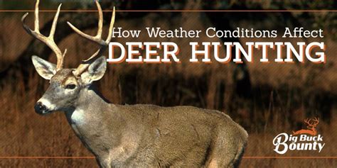 Deer Weather Conditions