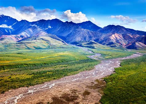 Denali National Park