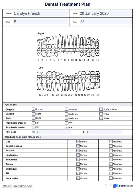 Dental Care Planner Printable