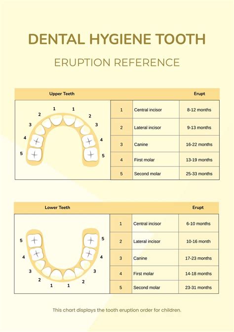 Dental Hygiene Chart for Adults