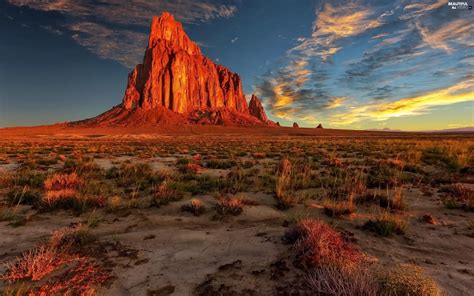 Desert Beauty Inspiration