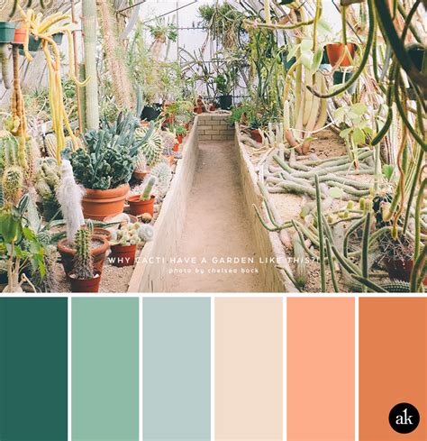 Desert Botanicals Color Palette