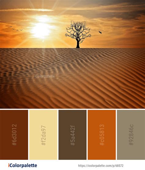 Desert Color Combinations