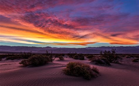 Desert Dusk Palette Look 4