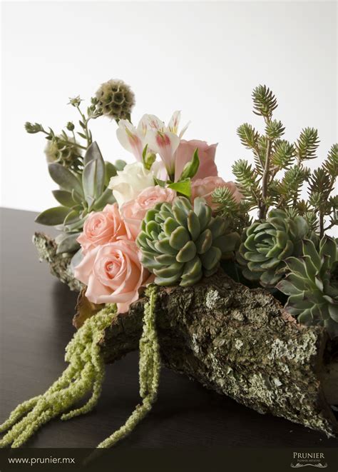 Desert-Inspired Succulent Arrangement