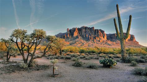 Desert landscapes