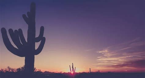 Desert Sunset Inspiration